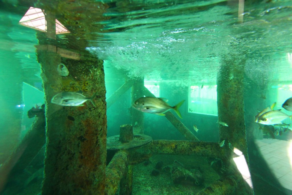 Oceanário de Aracaju