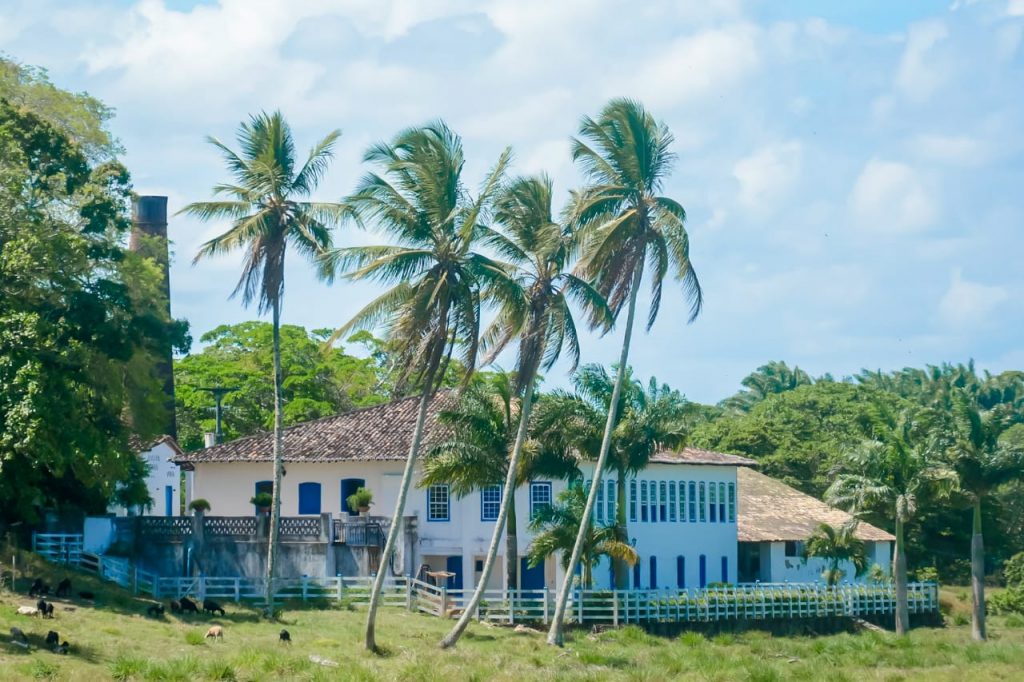 Rota do Engenho: Um novo atrativo turístico em Sergipe