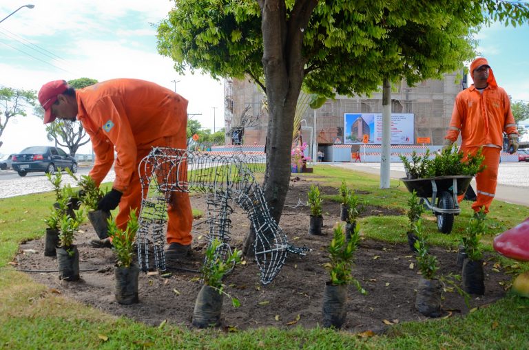 Emsurb intensifica ações de jardinagem e paisagismo no período que antecede o Natal