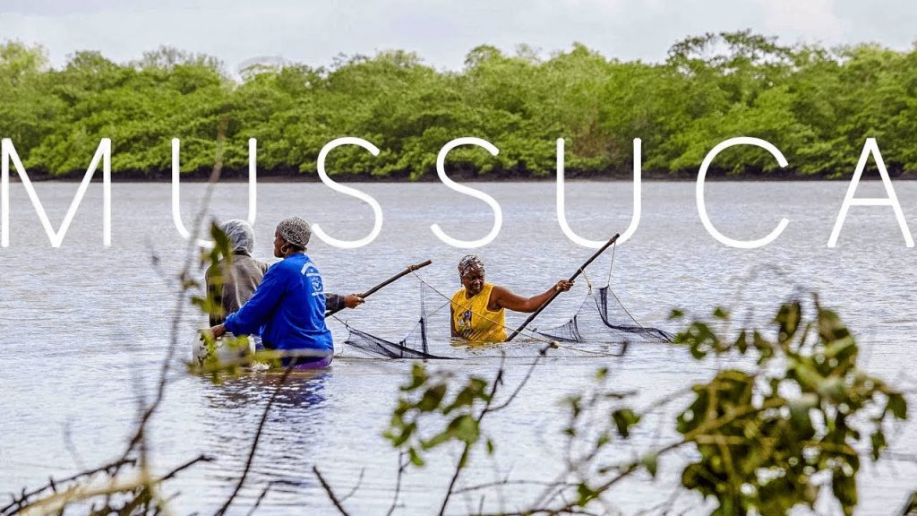 Mussuca: Um lugar repleto de histórias