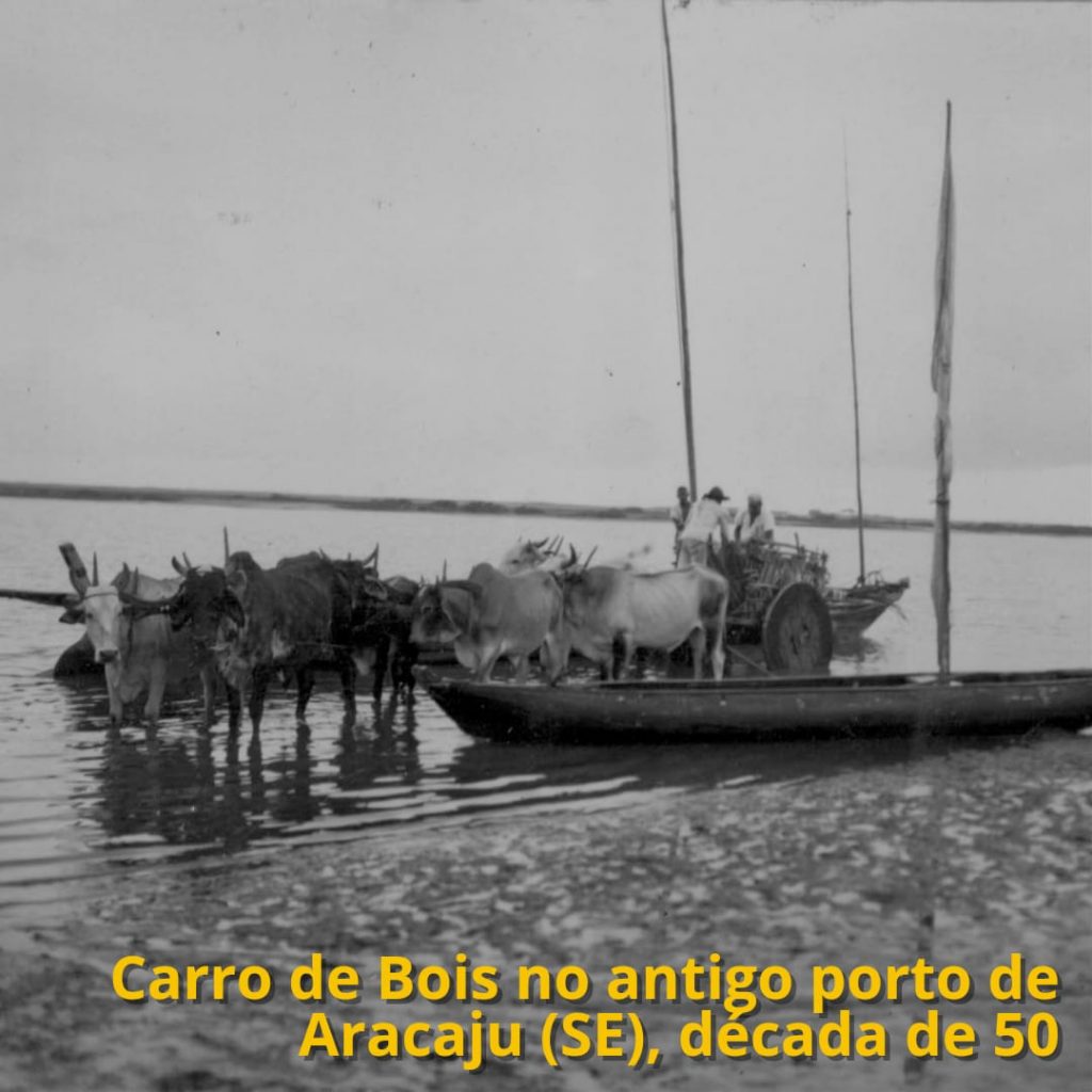 Carro de Boi