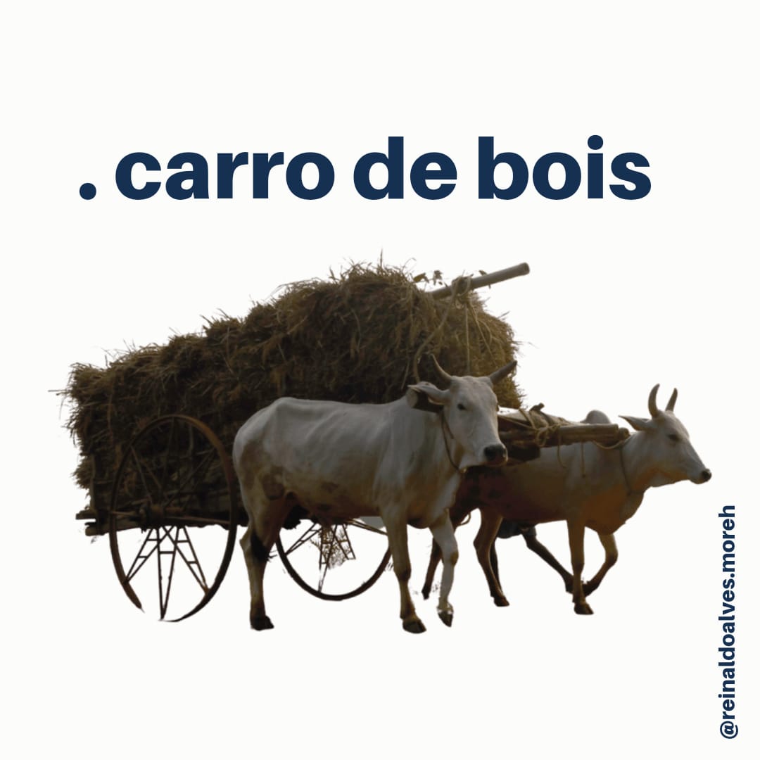 Carro de Bois