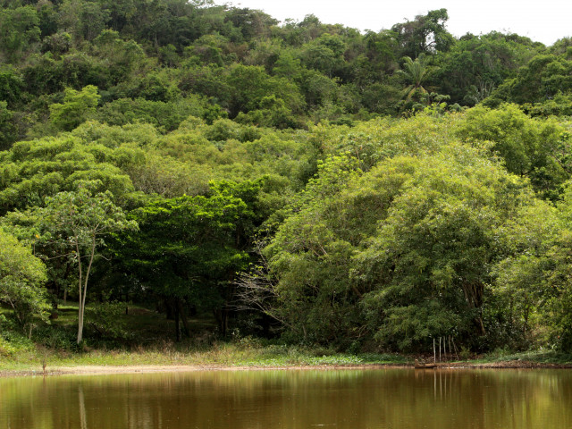 Sergipe assume liderança em sustentabilidade ambiental no Nordeste, aponta CLP