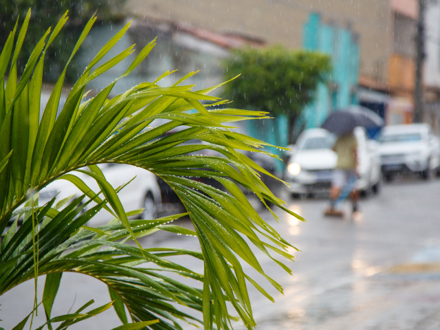 Sergipe emite alerta para chuvas acima de 50 mm e ventos de até 70 km/h entre sexta e sábado
