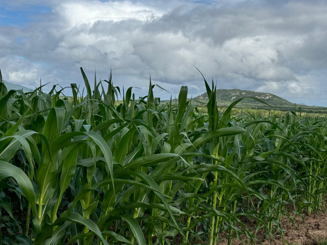 Adema lança Pontos de Apoio Municipais para Cadastro Ambiental Rural em Sergipe