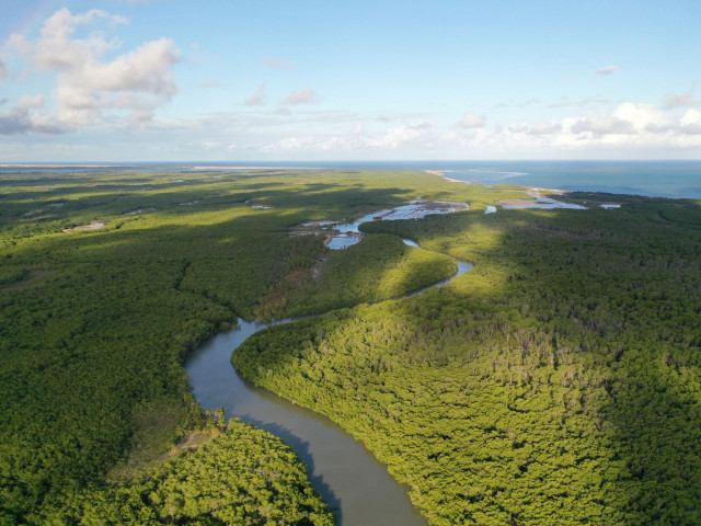 Sergipe chega à COP 30 com plano robusto de economia verde e transição energética