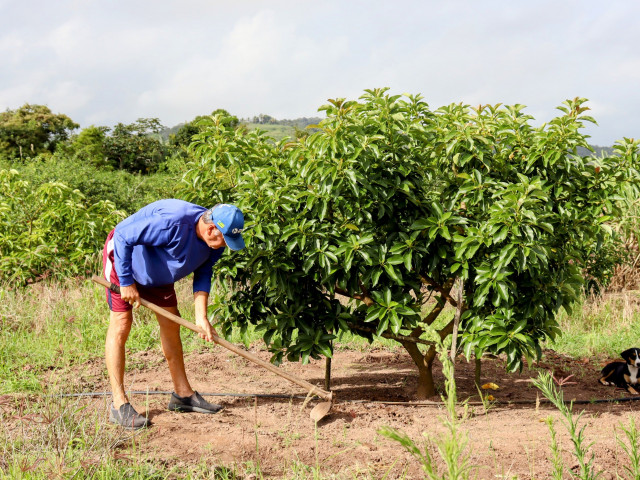 Governo de Sergipe apoia agricultor de Malhador na diversificação de culturas irrigadas