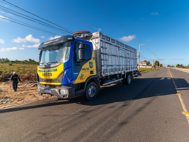 Ações do DER/SE e BPRv já retiraram 328 animais soltos das rodovias de Sergipe em 2024