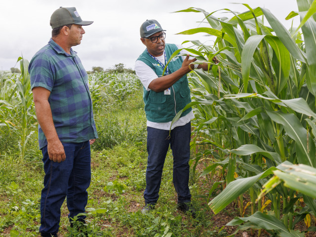 Governo de Sergipe integra Emdagro, Coderse e Pronese para fortalecer agricultura e pequenos produtores