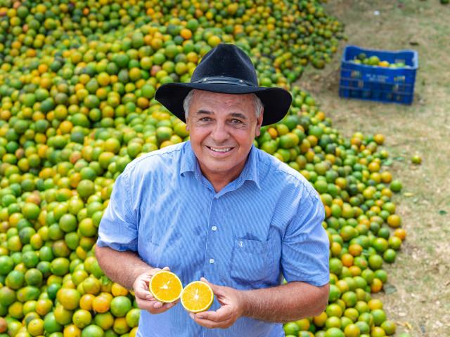 Agronegócio de Sergipe amplia exportações em 300% entre 2019 e 2025 e garante superávit estadual