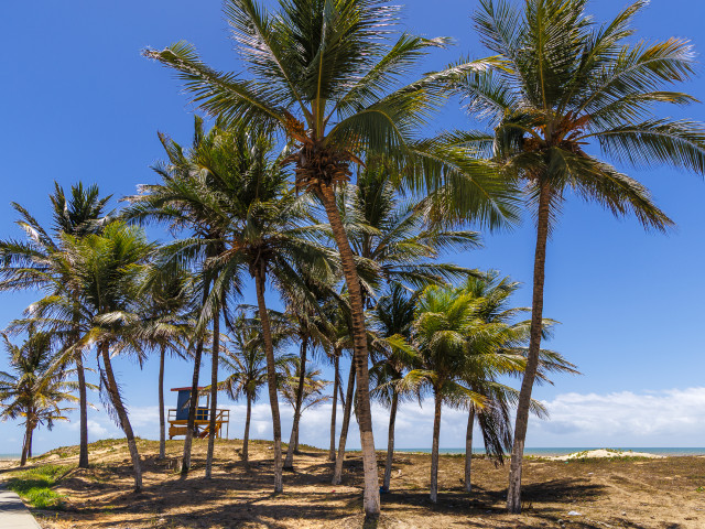 Verão Sergipe 2026 movimenta Pirambu com shows, esportes e expectativa de crescimento econômico