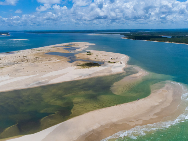 Semac abre inscrições para ONG ambiental integrar Conselho Costeiro de Sergipe