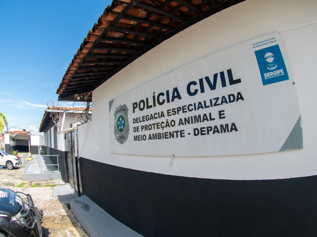 Denúncias de maus-tratos a animais sobem 30% em Sergipe e Depama amplia fiscalizações
