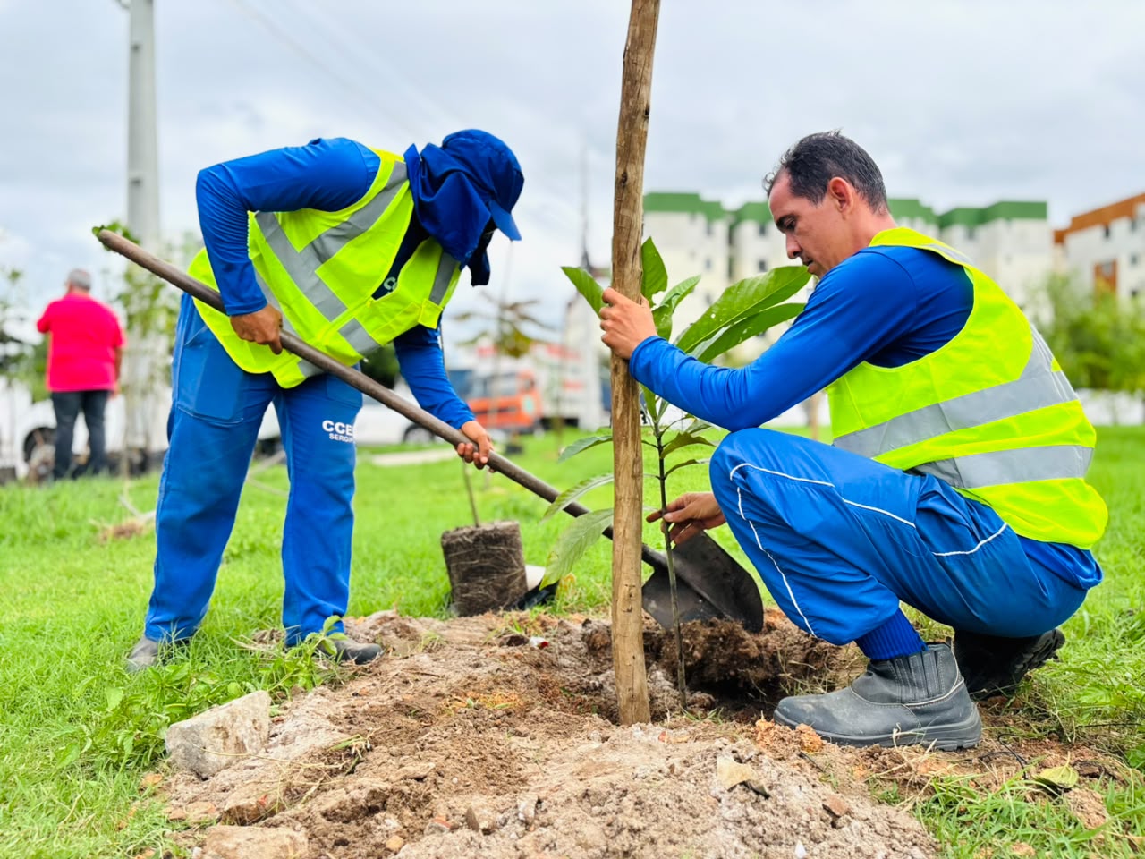Aracaju ganha um mini bosque urbano com plantio de 82 mudas no Jabotiana