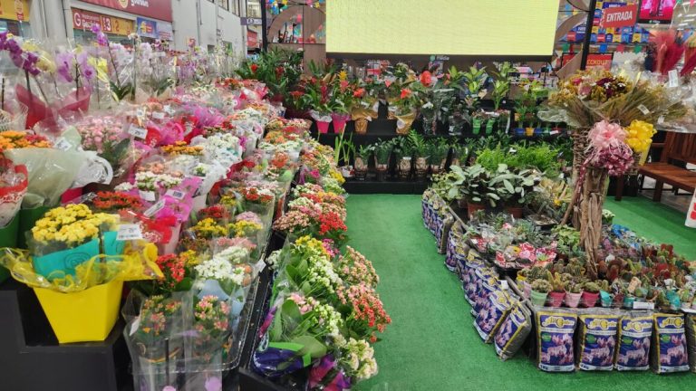 Dia dos Namorados aquece o comércio e inspira presentes especiais em Sergipe