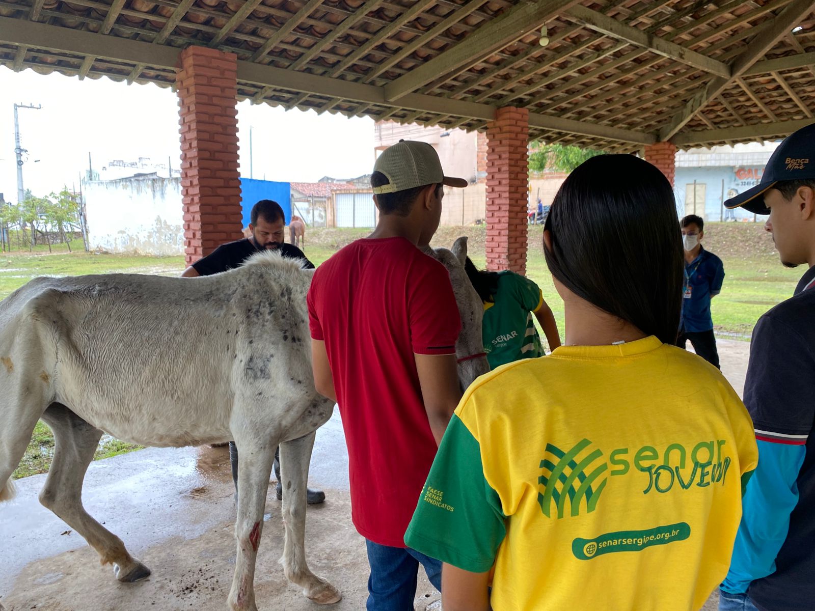 Emsurb recebe aula prática do curso de casqueamento de equinos do Senar