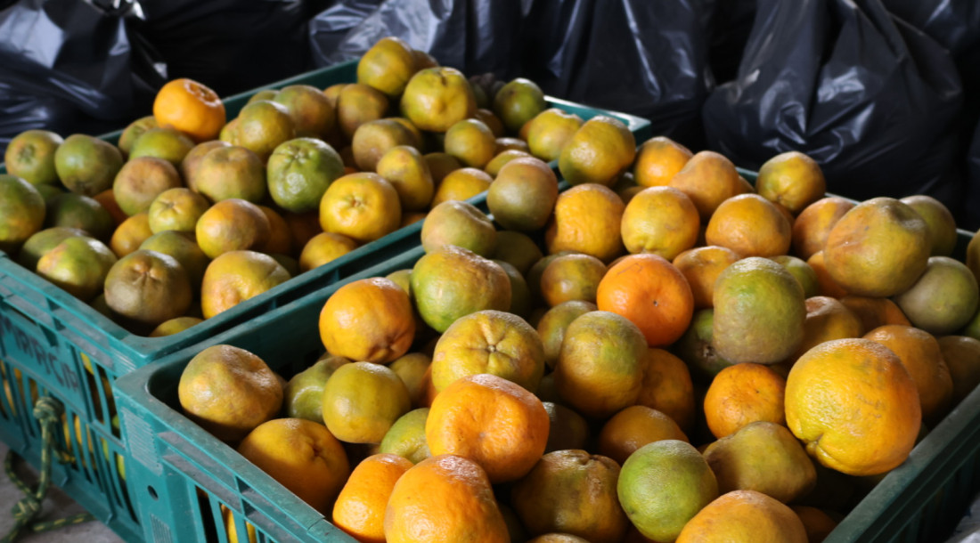 PAA Estadual leva mais de 14 toneladas de alimentos a Santana do São Francisco
