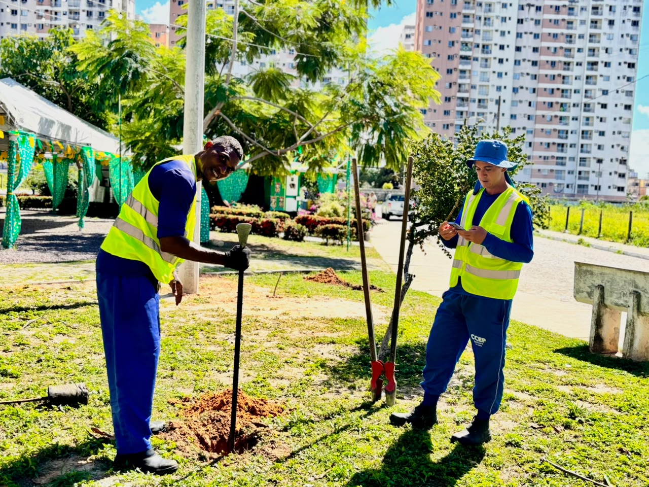 Prefeitura de Aracaju amplia arborização e promove biodiversidade no bairro Luzia
