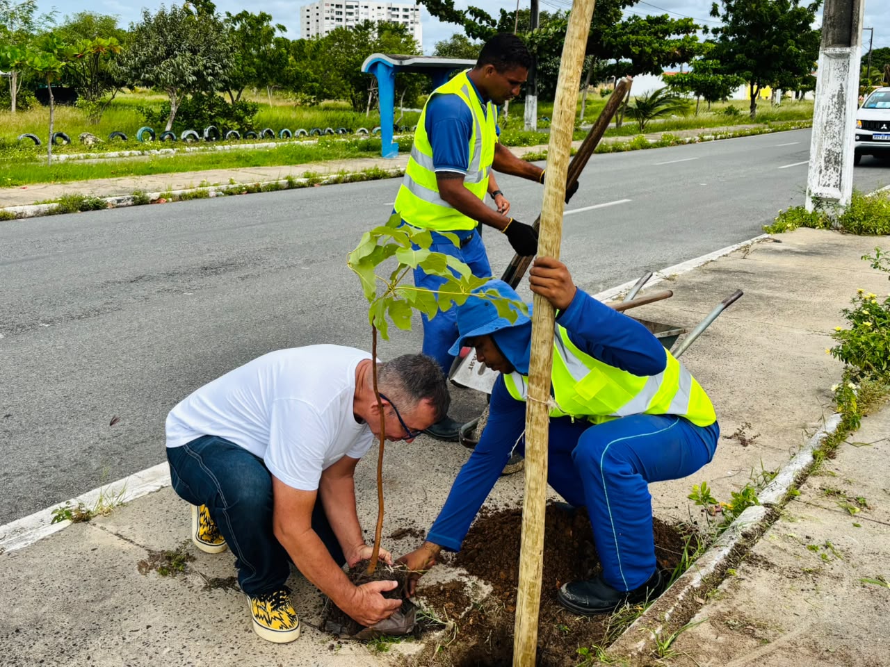 Prefeitura de Aracaju promove arborização com plantio no bairro Aruana