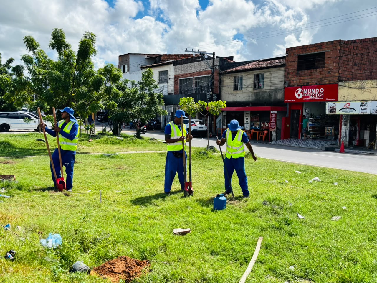 Prefeitura de Aracaju promove plantio de 34 árvores nativas na Avenida Santa Gleide
