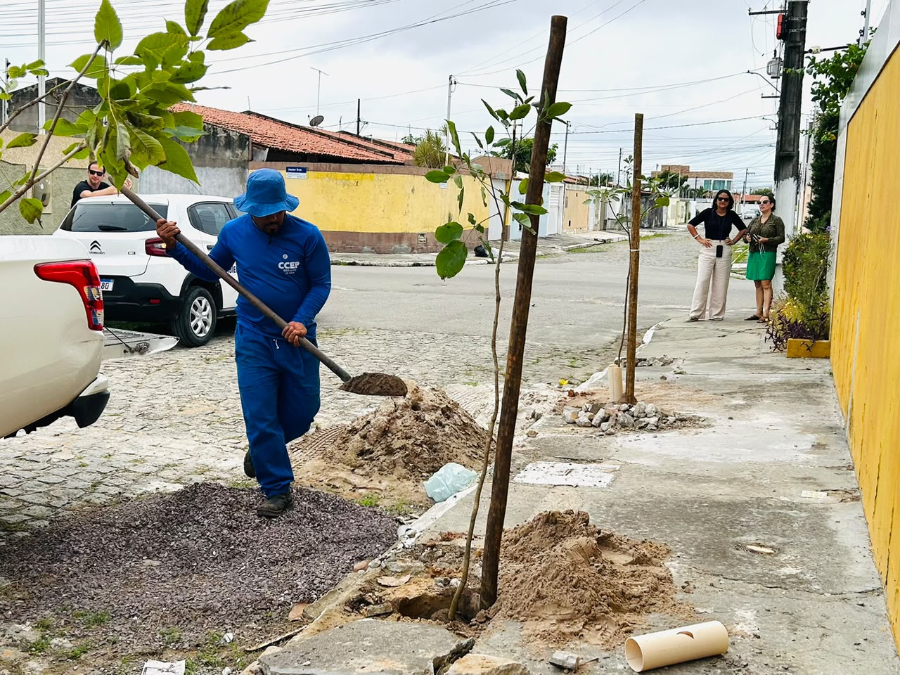 Projeto Calçada Viva transforma Aracaju com mais árvores e envolvimento comunitário