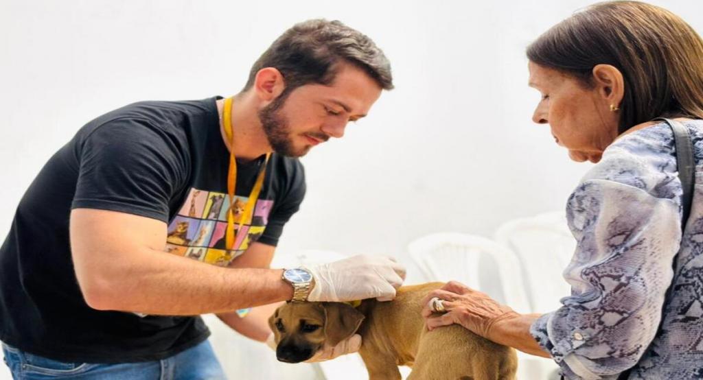 Aju Animal: Prefeitura registra mais de 2 mil atendimentos e amplia assistência veterinária gratuita