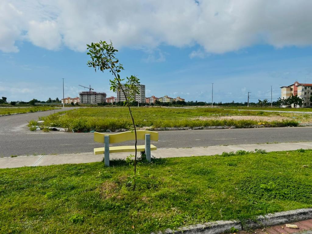 Aracaju acompanha o crescimento de 337 mudas plantadas no bairro 17 de Março