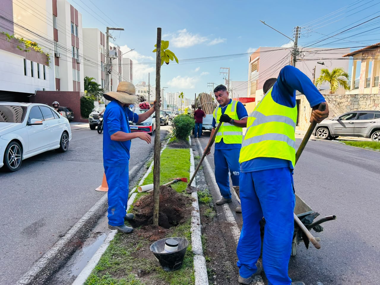 Aracaju planta 60 mudas nativas no bairro Grageru para um futuro mais verde