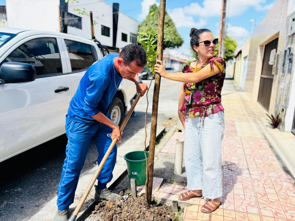 Aracaju amplia arborização de calçadas nos bairros Salgado Filho e Siqueira Campos