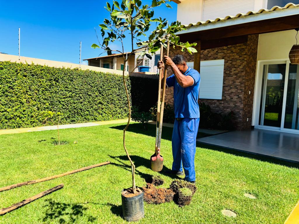 Aruana recebe mudas nativas em projeto-piloto de arborização