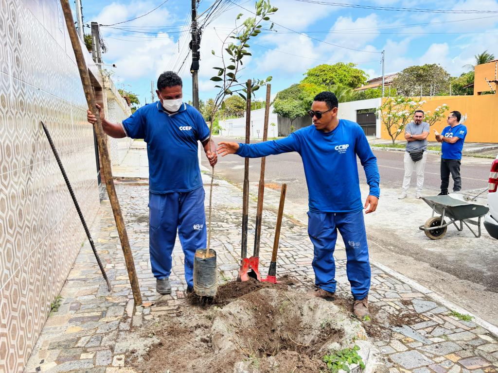 Calçada Viva planta oito mudas e reforça arborização no Aruana