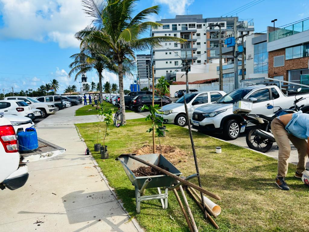 Coroa do Meio recebe mudas nativas para ampliar sombra perto do Farol