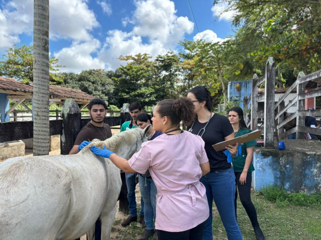 Parceria fortalece cuidados com animais e formação veterinária em Aracaju