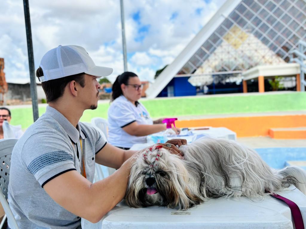 Tamo Junto Aracaju completa um ano com ações ambientais e cuidado animal